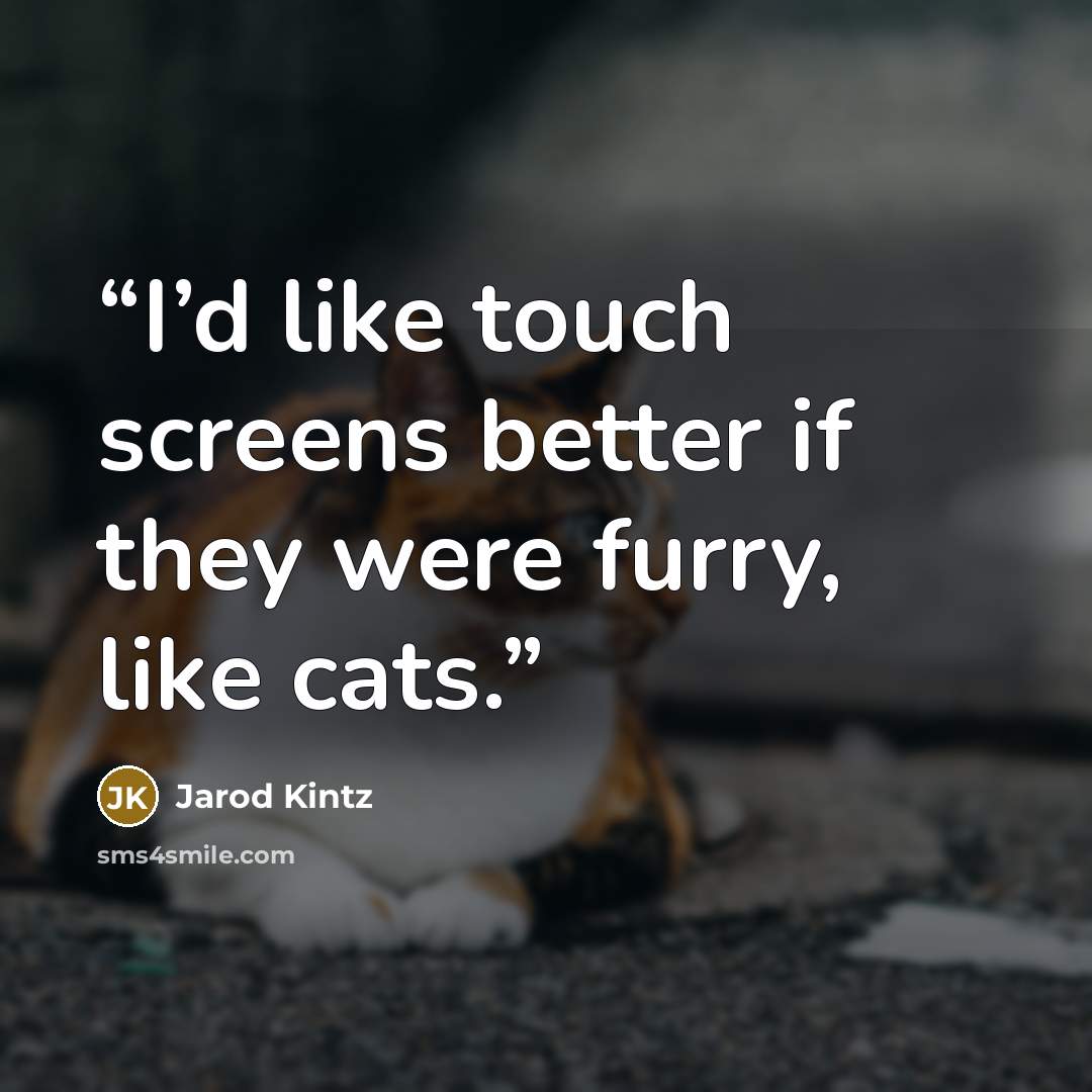 “I’d like touch screens better if they were furry, like cats.” quote by Jarod Kintz