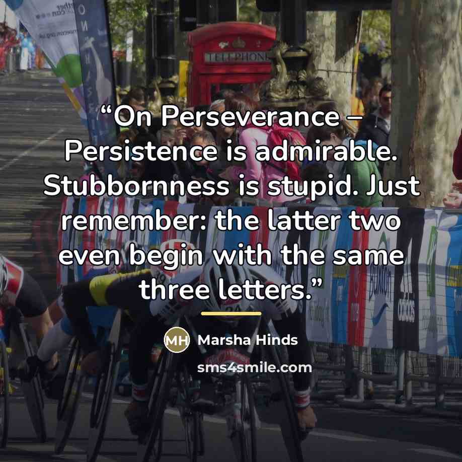 “On Perseverance – Persistence is admirable. Stubbornness is stupid. Just remember: the latter two even begin with the same three letters.” quote by Marsha Hinds