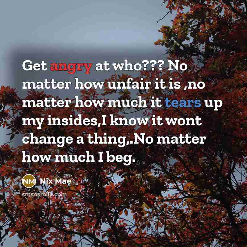 “Get angry at who??? No matter how unfair it is ,no matter how much it tears up my insides,I know it wont change a thing,.No matter how much I beg.” quote by Nix Mae
