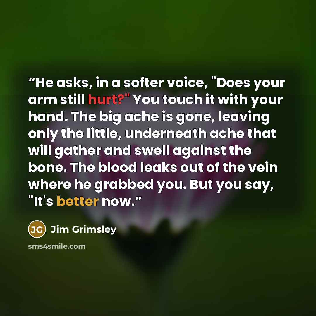 “He asks, in a softer voice, "Does your arm still hurt?" You touch it with your hand. The big ache is gone, leaving only the little, underneath ache that will gather and swell against the bone. The blood leaks out of the vein where he grabbed you. But you say, "It's better now.” quote by Jim Grimsley