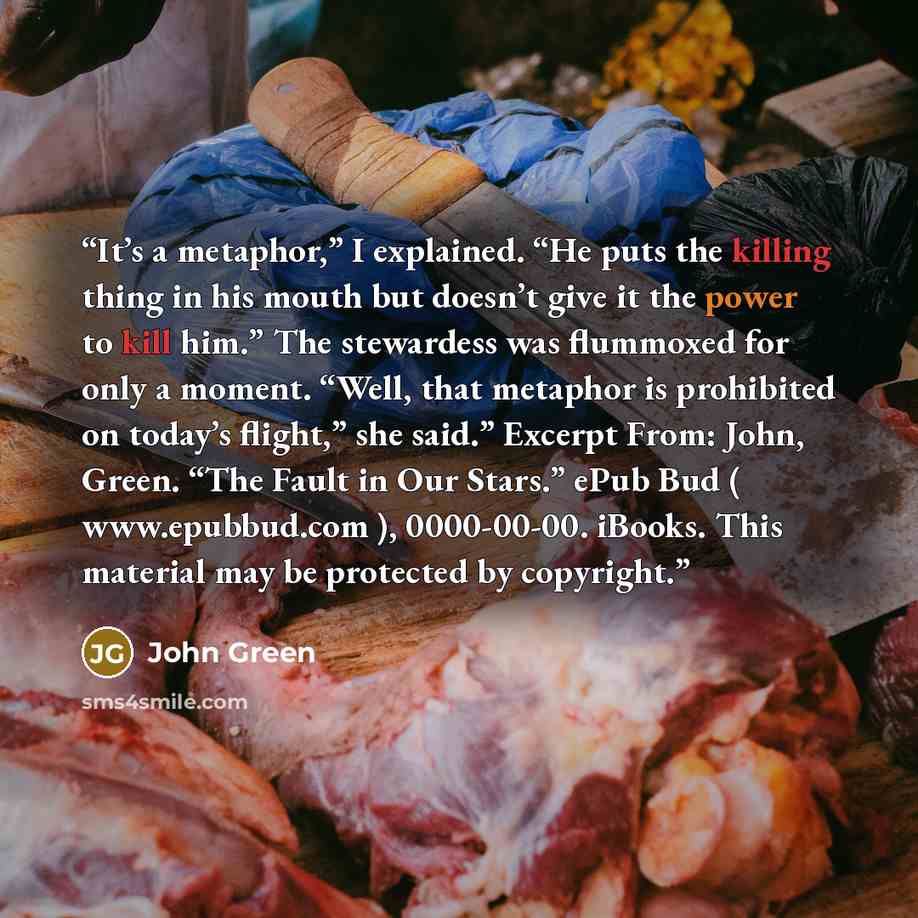 “It’s a metaphor,” I explained. “He puts the killing thing in his mouth but doesn’t give it the power to kill him.” The stewardess was flummoxed for only a moment. “Well, that metaphor is prohibited on today’s flight,” she said.” Excerpt From: John, Green. “The Fault in Our Stars.” ePub Bud (…” quote by John Green