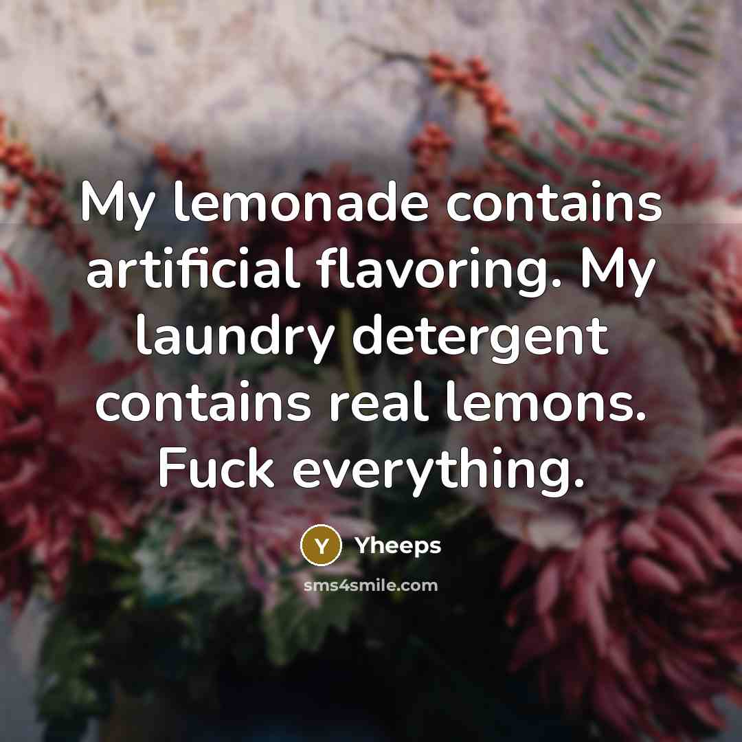 “My lemonade contains artificial flavoring. My laundry detergent contains real lemons. Fuck everything.” quote by Yheeps