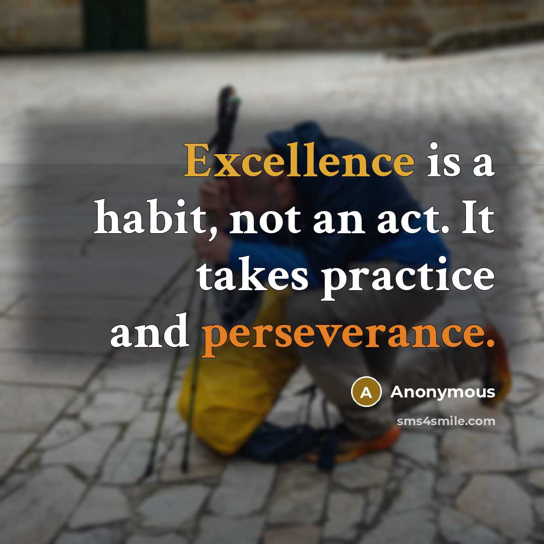 “Excellence is a habit, not an act. It takes practice and perseverance.” quote by Anonymous