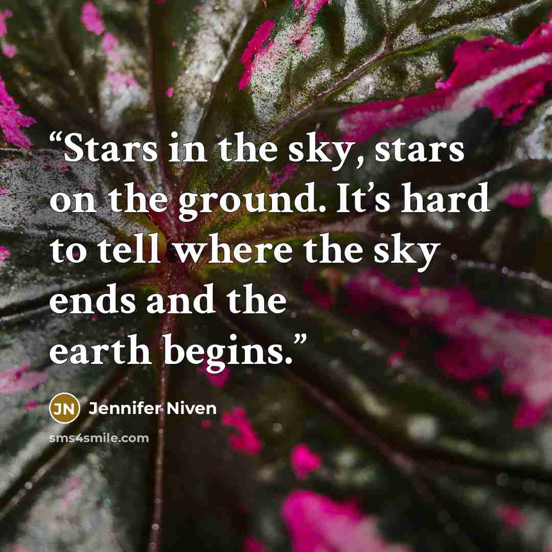 “Stars in the sky, stars on the ground. It’s hard to tell where the sky ends and the earth begins.” quote by Jennifer Niven