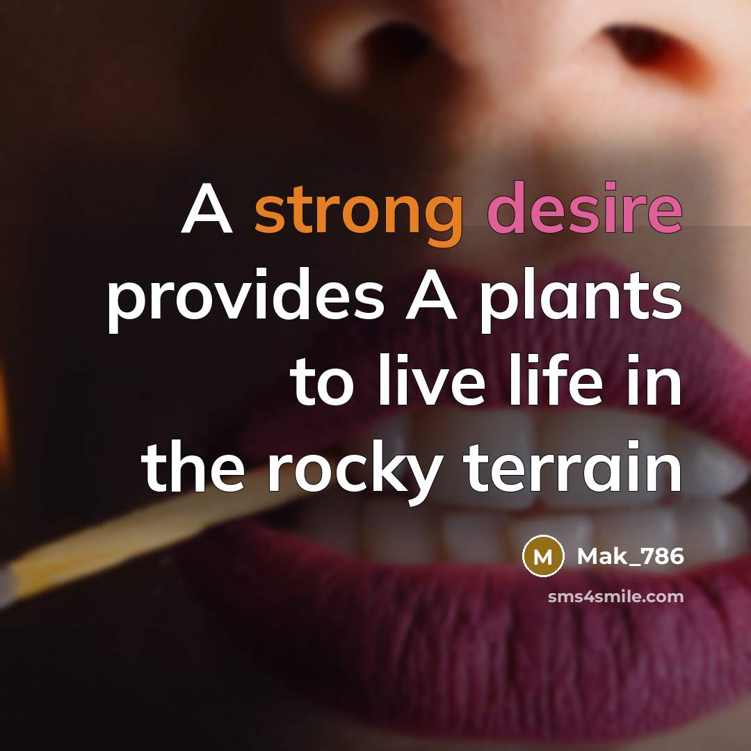 “A strong desire provides A plants to live life in the rocky terrain” quote by Mak_786