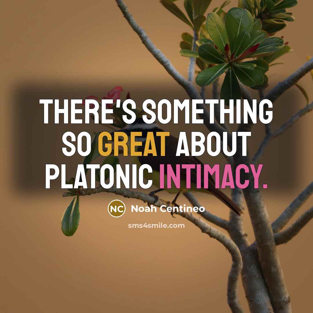 “There's something so great about platonic intimacy.” quote by Noah Centineo