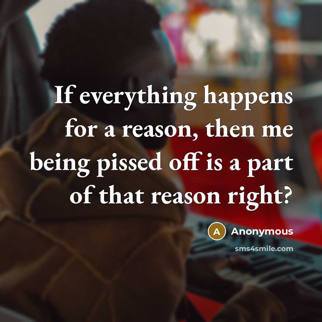 “If everything happens for a reason, then me being pissed off is a part of that reason right?” quote by Anonymous