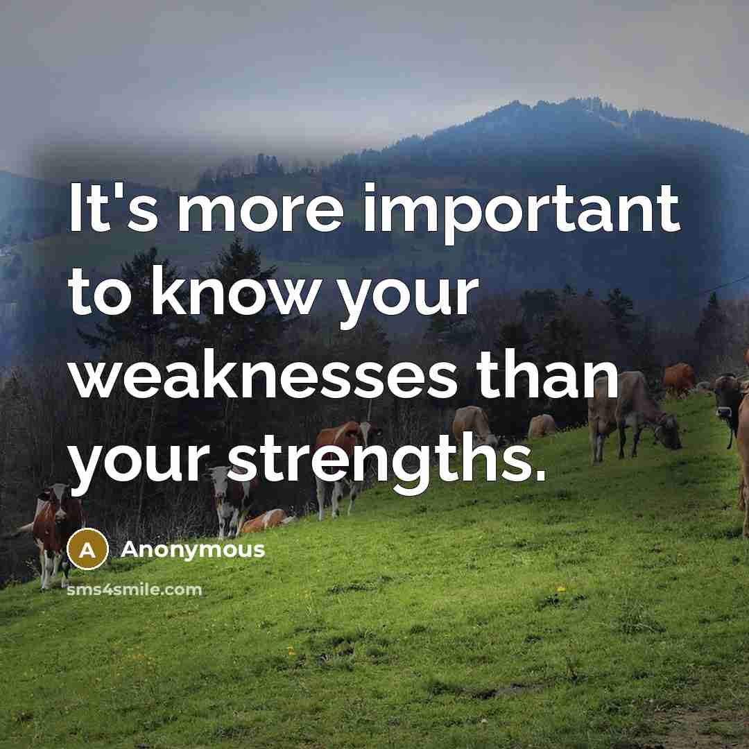 “It's more important to know your weaknesses than your strengths.” quote by Anonymous