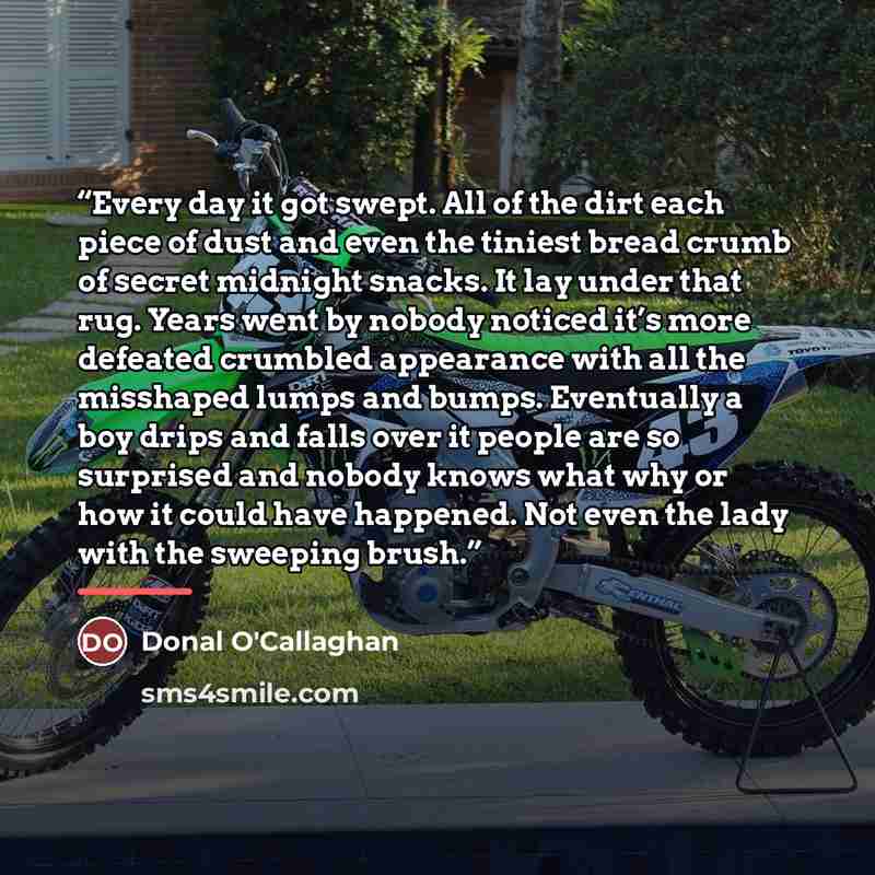 “Every day it got swept. All of the dirt each piece of dust and even the tiniest bread crumb of secret midnight snacks. It lay under that rug. Years went by nobody noticed it’s more defeated crumbled appearance with all the misshaped lumps and bumps. Eventually a boy drips and falls over it people…” quote by Donal O'Callaghan