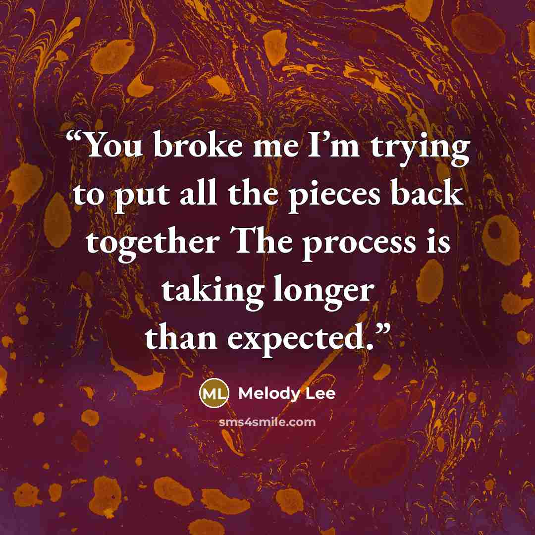 “You broke me I’m trying to put all the pieces back together The process is taking longer than expected.” quote by Melody Lee