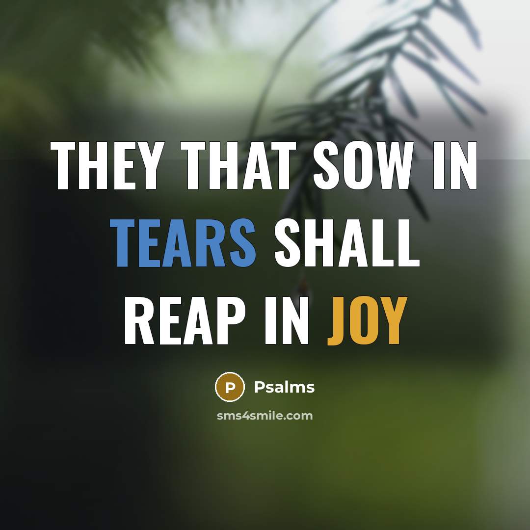 “They that sow in tears shall reap in joy” quote by Psalms