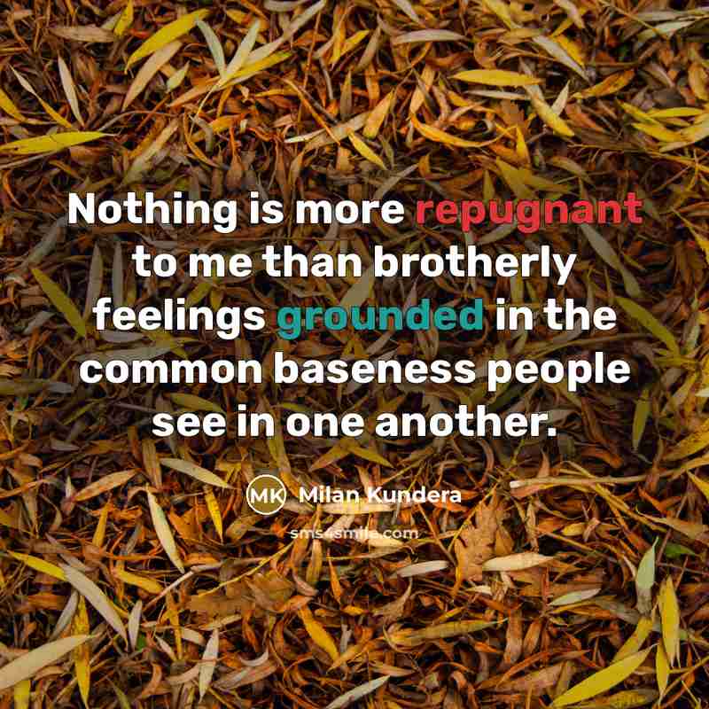 “Nothing is more repugnant to me than brotherly feelings grounded in the common baseness people see in one another.” quote by Milan Kundera
