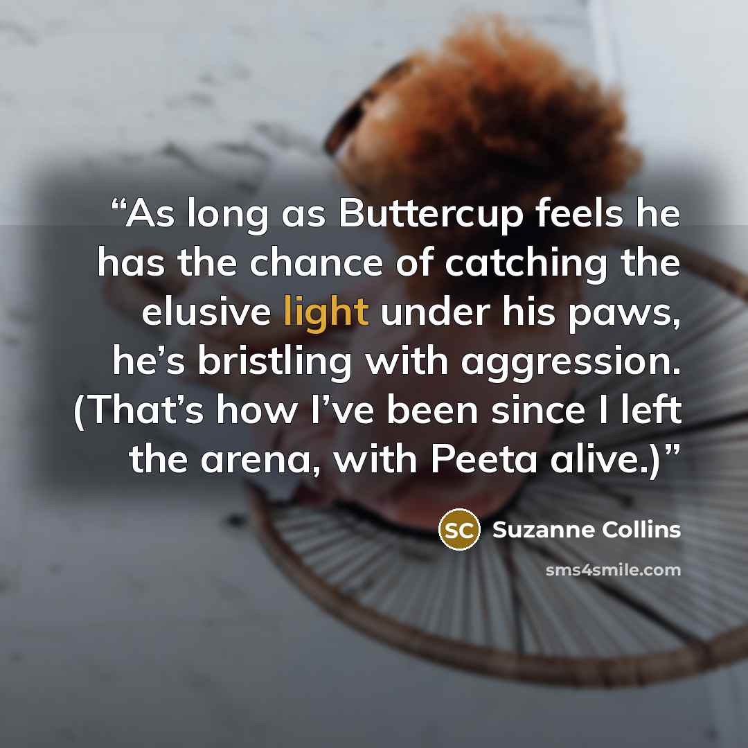 “As long as Buttercup feels he has the chance of catching the elusive light under his paws, he’s bristling with aggression. (That’s how I’ve been since I left the arena, with Peeta alive.)” quote by Suzanne Collins