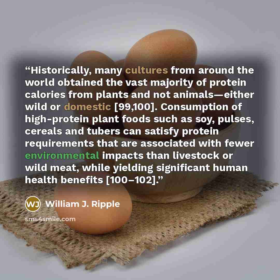 “Historically, many cultures from around the world obtained the vast majority of protein calories from plants and not animals—either wild or domestic [99,100]. Consumption of high-protein plant foods such as soy, pulses, cereals and tubers can satisfy protein requirements that are associated with…” quote by William J. Ripple