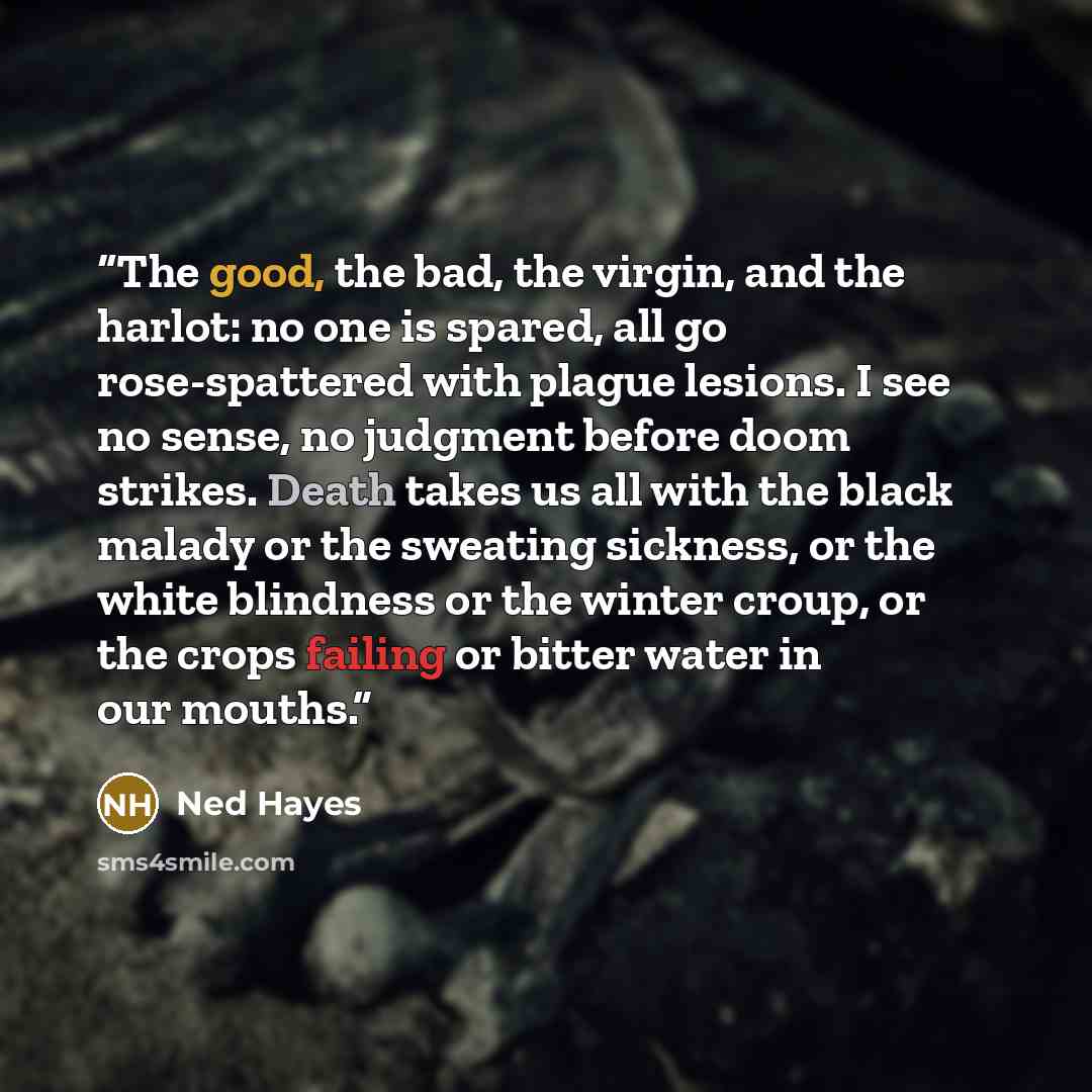 “The good, the bad, the virgin, and the harlot: no one is spared, all go rose-spattered with plague lesions. I see no sense, no judgment before doom strikes. Death takes us all with the black malady or the sweating sickness, or the white blindness or the winter croup, or the crops failing or bitter…” quote by Ned Hayes