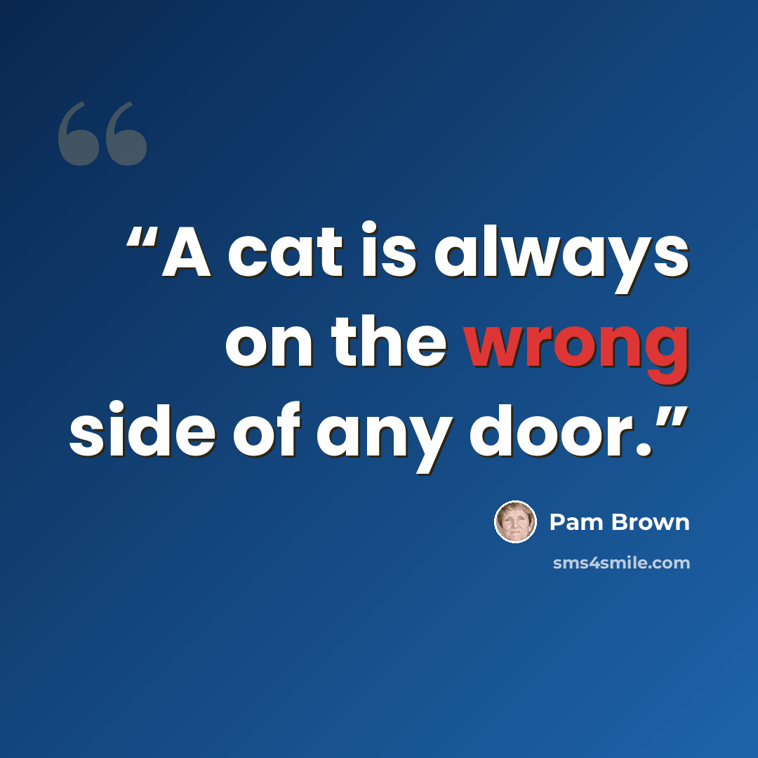 “A cat is always on the wrong side of any door.” quote by Pam Brown