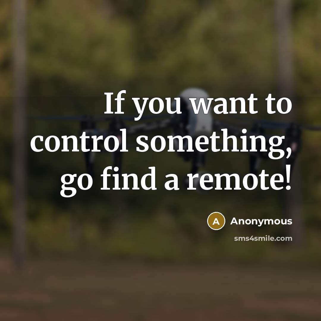 “If you want to control something, go find a remote!” quote by Anonymous