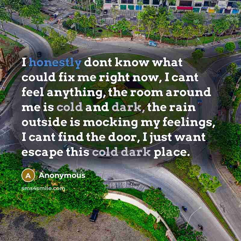 “I honestly dont know what could fix me right now, I cant feel anything, the room around me is cold and dark, the rain outside is mocking my feelings, I cant find the door, I just want escape this cold dark place.” quote by Anonymous