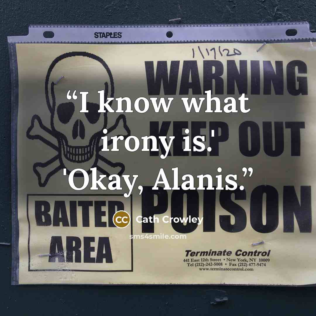“I know what irony is.' 'Okay, Alanis.” quote by Cath Crowley