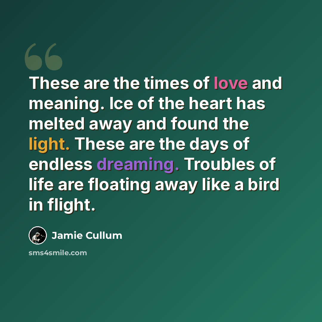 “These are the times of love and meaning. Ice of the heart has melted away and found the light. These are the days of endless dreaming. Troubles of life are floating away like a bird in flight.” quote by Jamie Cullum