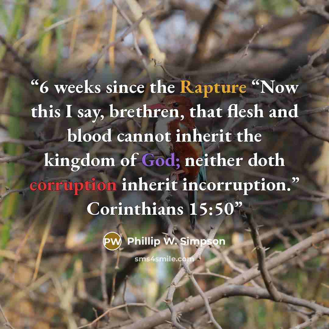 “6 weeks since the Rapture “Now this I say, brethren, that flesh and blood cannot inherit the kingdom of God; neither doth corruption inherit incorruption.” Corinthians 15:50” quote by Phillip W. Simpson