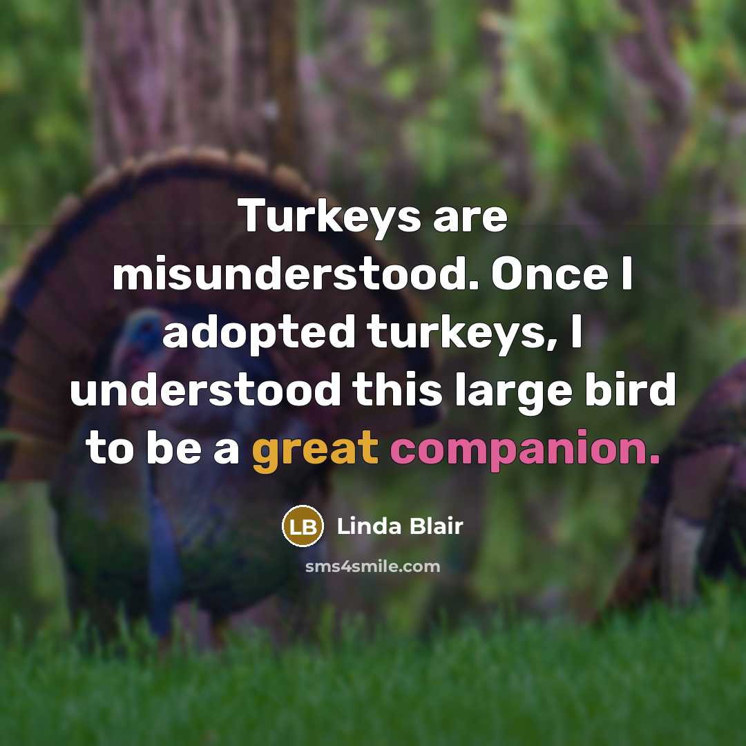 “Turkeys are misunderstood. Once I adopted turkeys, I understood this large bird to be a great companion.” quote by Linda Blair
