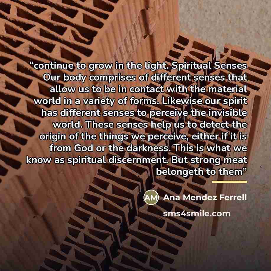 “continue to grow in the light. Spiritual Senses Our body comprises of different senses that allow us to be in contact with the material world in a variety of forms. Likewise our spirit has different senses to perceive the invisible world. These senses help us to detect the origin of the things we…” quote by Ana Mendez Ferrell