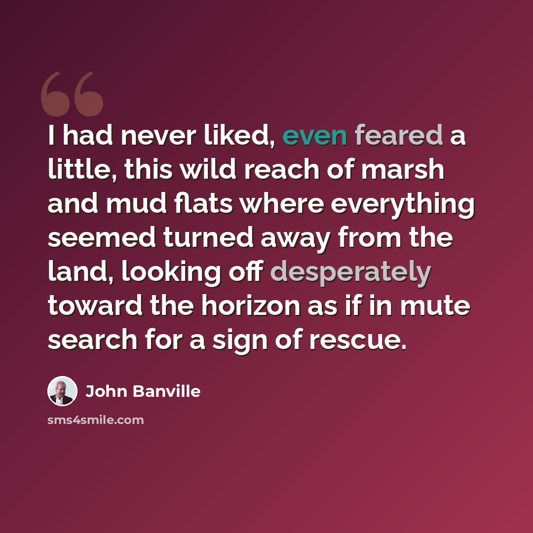 “I had never liked, even feared a little, this wild reach of marsh and mud flats where everything seemed turned away from the land, looking off desperately toward the horizon as if in mute search for a sign of rescue.” quote by John Banville