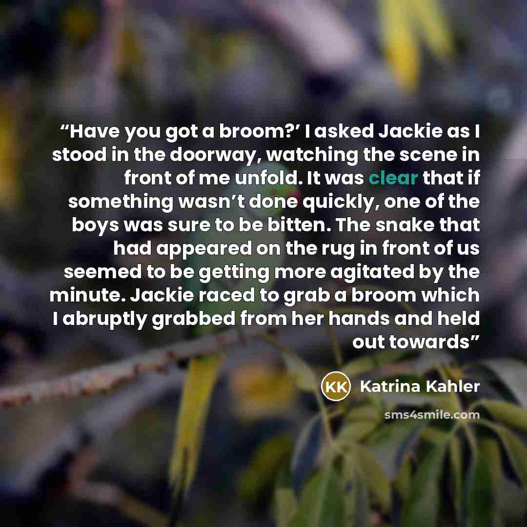 “Have you got a broom?’ I asked Jackie as I stood in the doorway, watching the scene in front of me unfold. It was clear that if something wasn’t done quickly, one of the boys was sure to be bitten. The snake that had appeared on the rug in front of us seemed to be getting more agitated by the…” quote by Katrina Kahler
