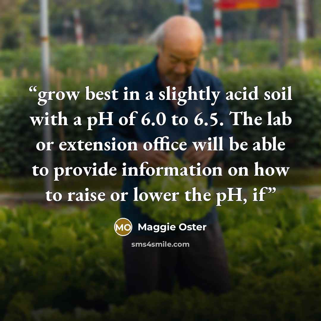 “grow best in a slightly acid soil with a pH of 6.0 to 6.5. The lab or extension office will be able to provide information on how to raise or lower the pH, if” quote by Maggie Oster