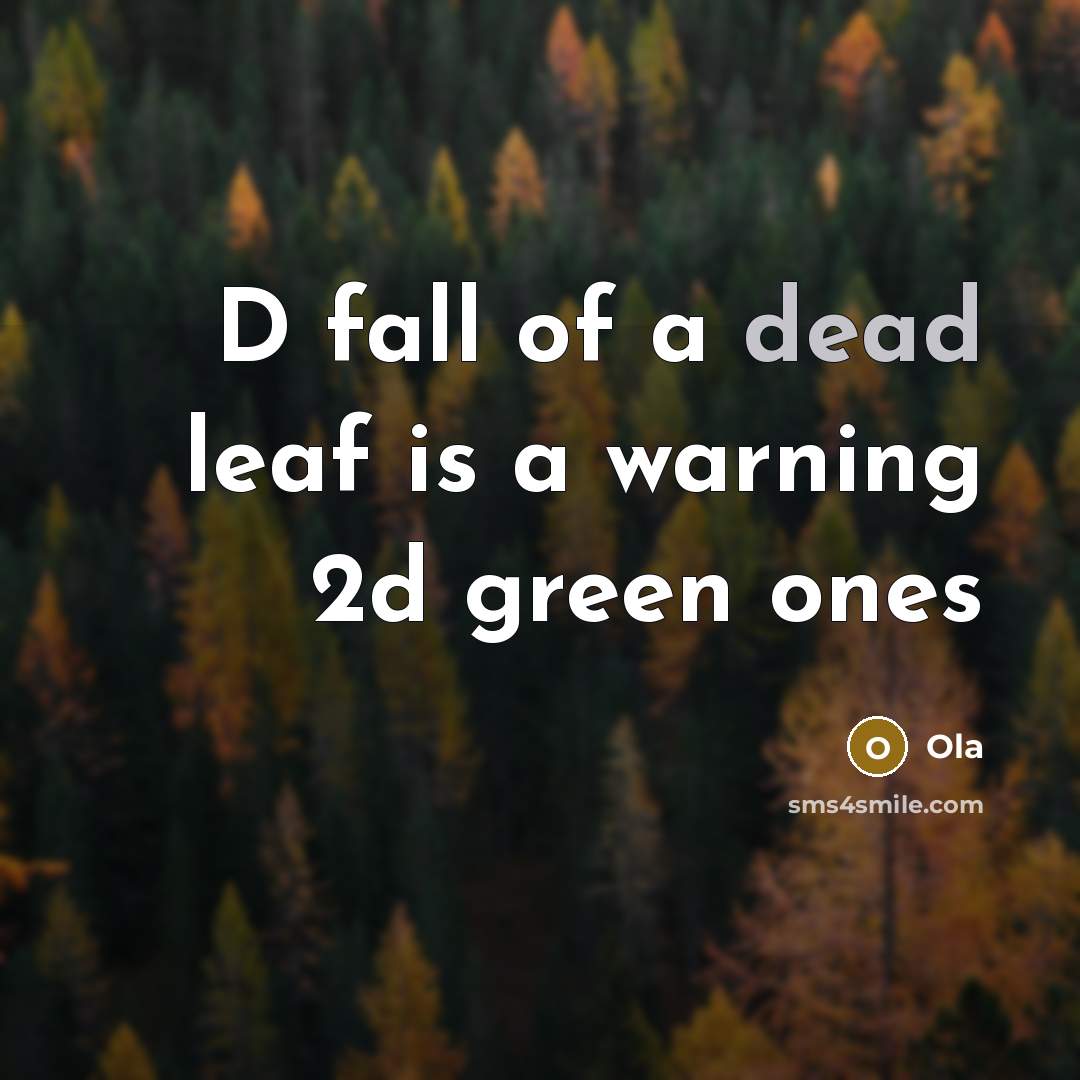 “D fall of a dead leaf is a warning 2d green ones” quote by Ola