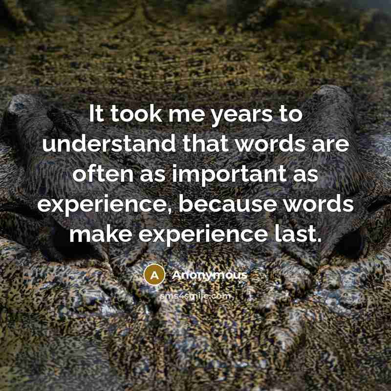 “It took me years to understand that words are often as important as experience, because words make experience last.” quote by Anonymous
