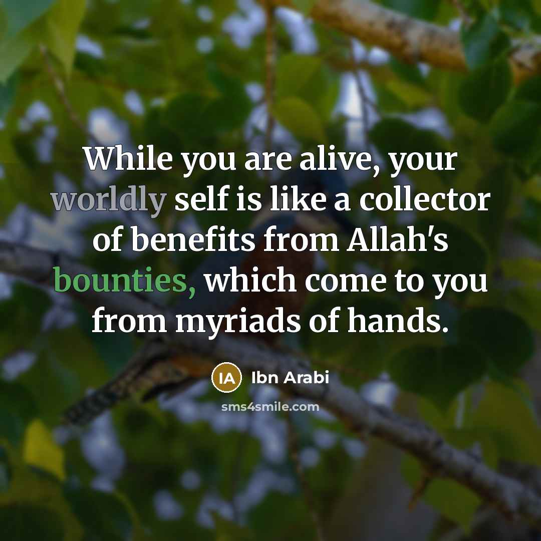 “While you are alive, your worldly self is like a collector of benefits from Allah's bounties, which come to you from myriads of hands.” quote by Ibn Arabi