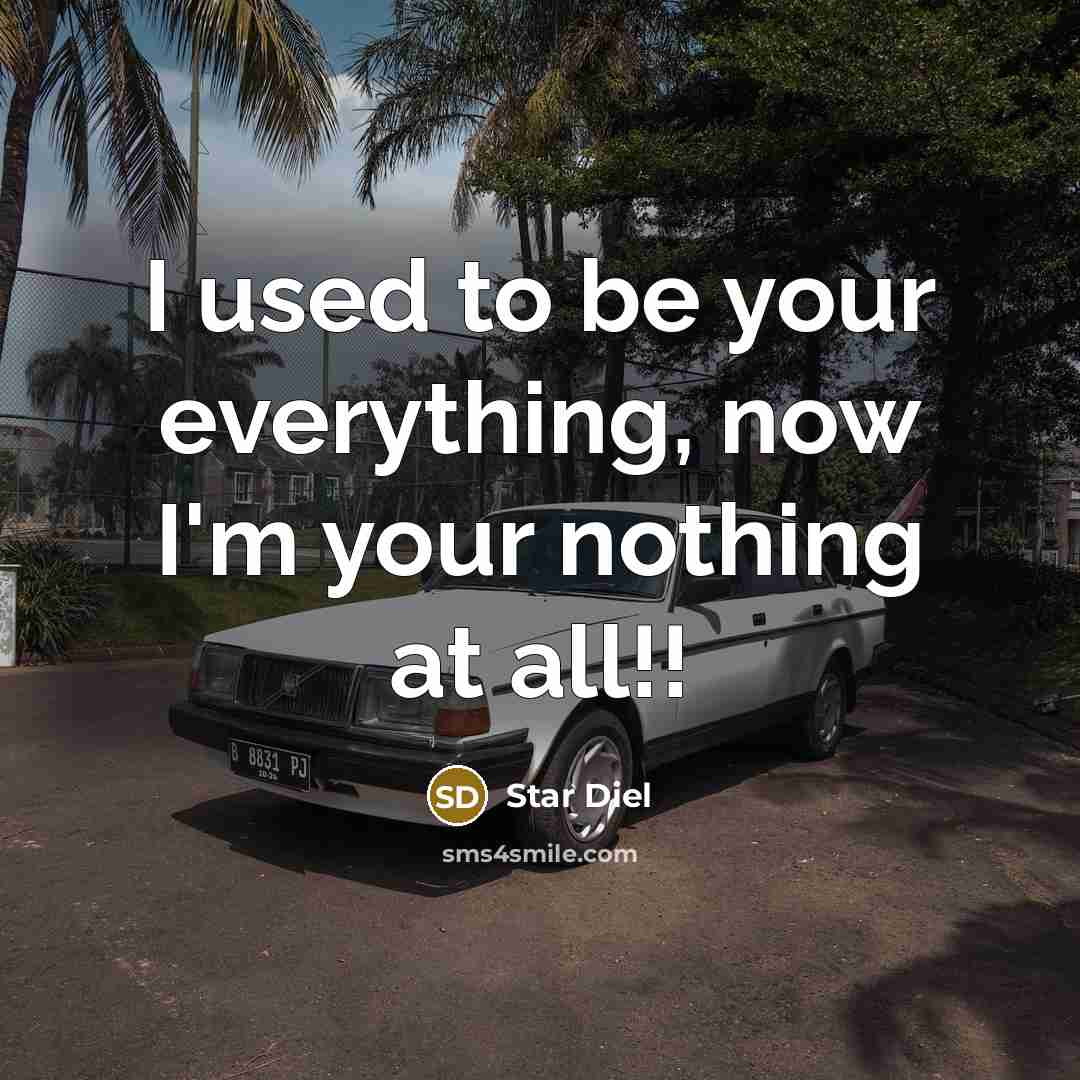 “I used to be your everything, now I'm your nothing at all!!” quote by Star Diel