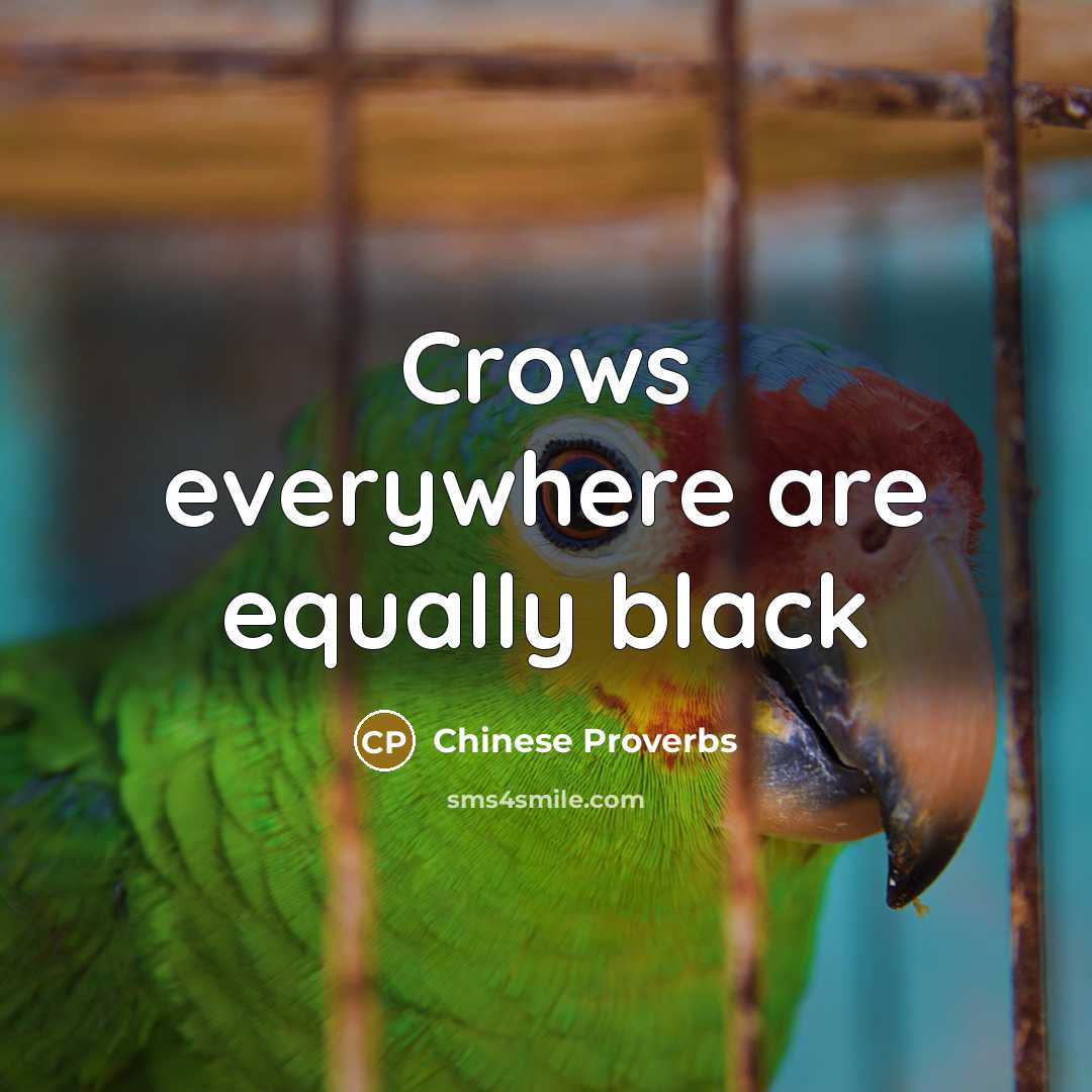 “Crows everywhere are equally black” quote by Chinese Proverbs