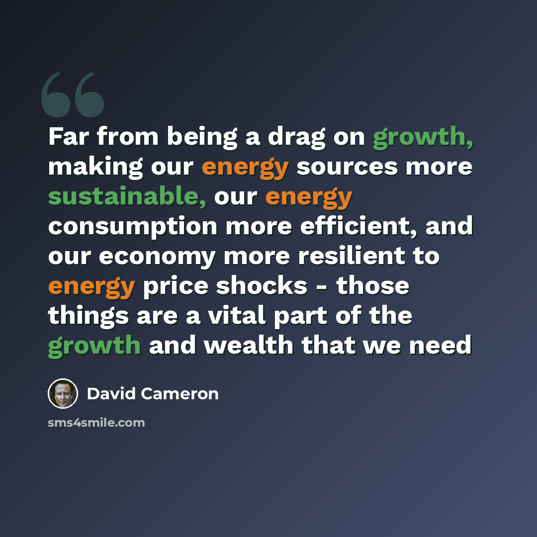“Far from being a drag on growth, making our energy sources more sustainable, our energy consumption more efficient, and our economy more resilient to energy price shocks - those things are a vital part of the growth and wealth that we need” quote by David Cameron