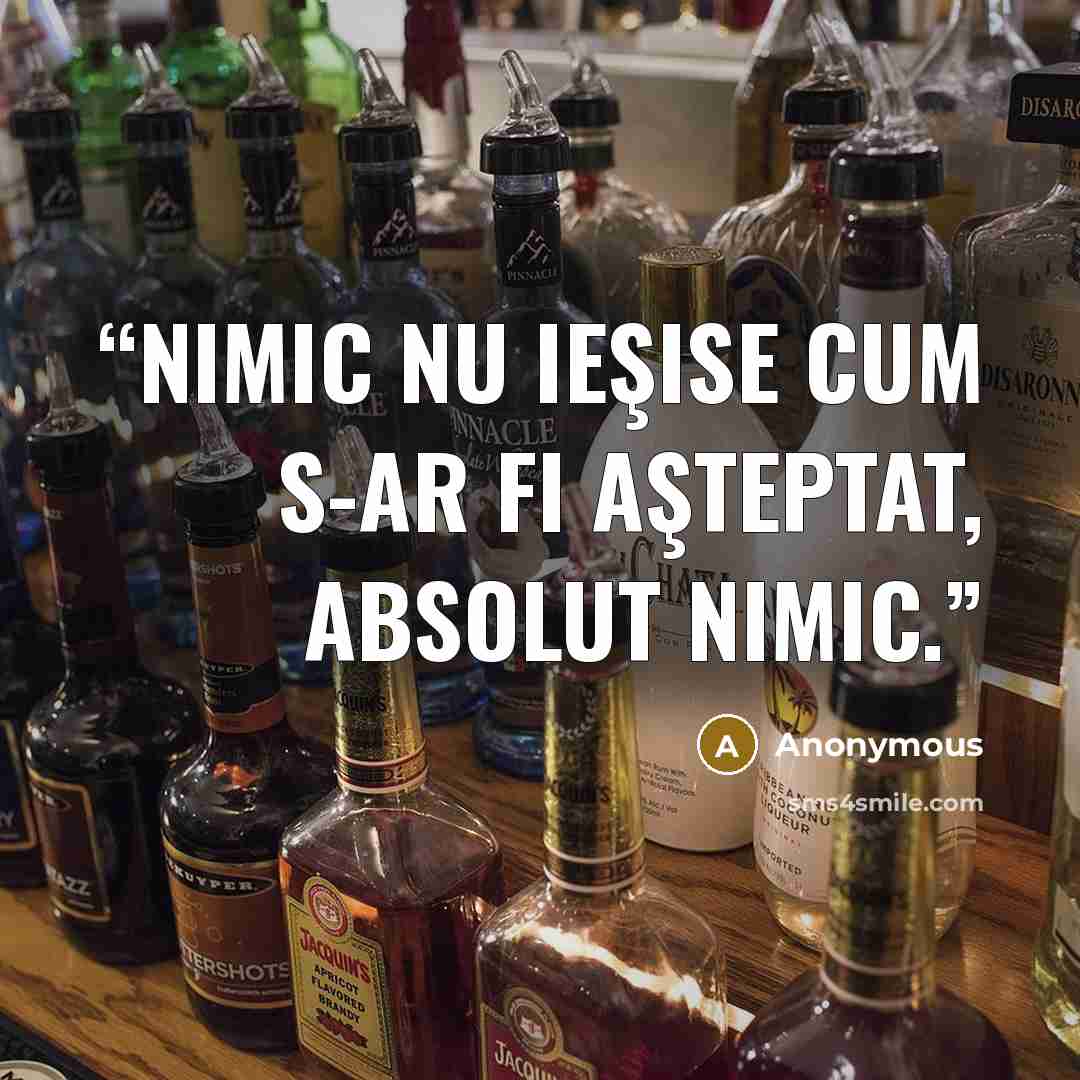 “nimic nu ieşise cum s-ar fi aşteptat, absolut nimic.” quote by Anonymous