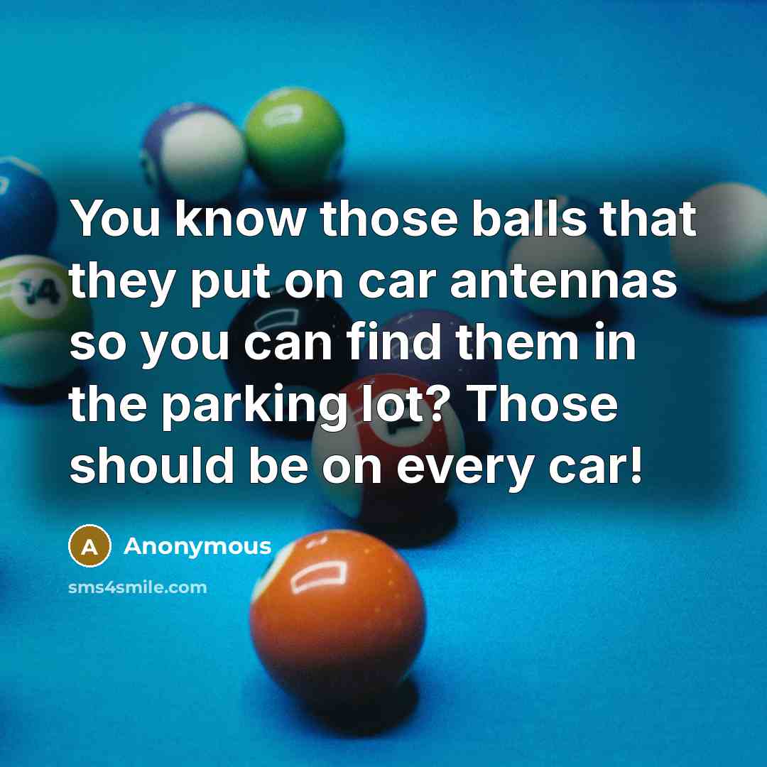 “You know those balls that they put on car antennas so you can find them in the parking lot? Those should be on every car!” quote by Anonymous