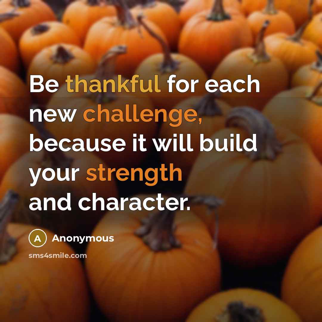 “Be thankful for each new challenge, because it will build your strength and character.” quote by Anonymous