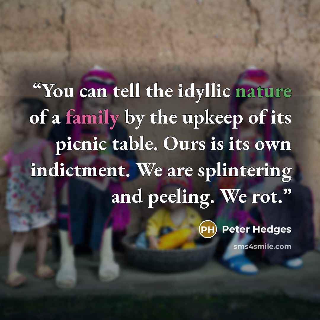 “You can tell the idyllic nature of a family by the upkeep of its picnic table. Ours is its own indictment. We are splintering and peeling. We rot.” quote by Peter Hedges