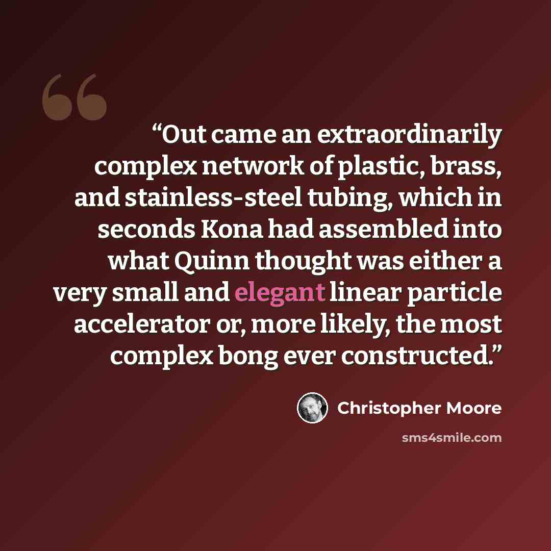 “Out came an extraordinarily complex network of plastic, brass, and stainless-steel tubing, which in seconds Kona had assembled into what Quinn thought was either a very small and elegant linear particle accelerator or, more likely, the most complex bong ever constructed.” quote by Christopher Moore