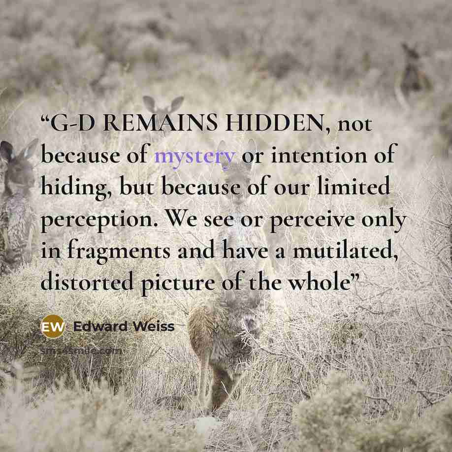 “G-D REMAINS HIDDEN, not because of mystery or intention of hiding, but because of our limited perception. We see or perceive only in fragments and have a mutilated, distorted picture of the whole” quote by Edward Weiss