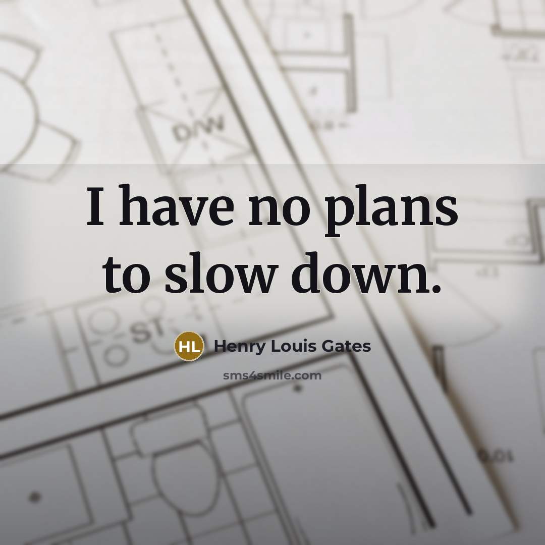 “I have no plans to slow down.” quote by Henry Louis Gates