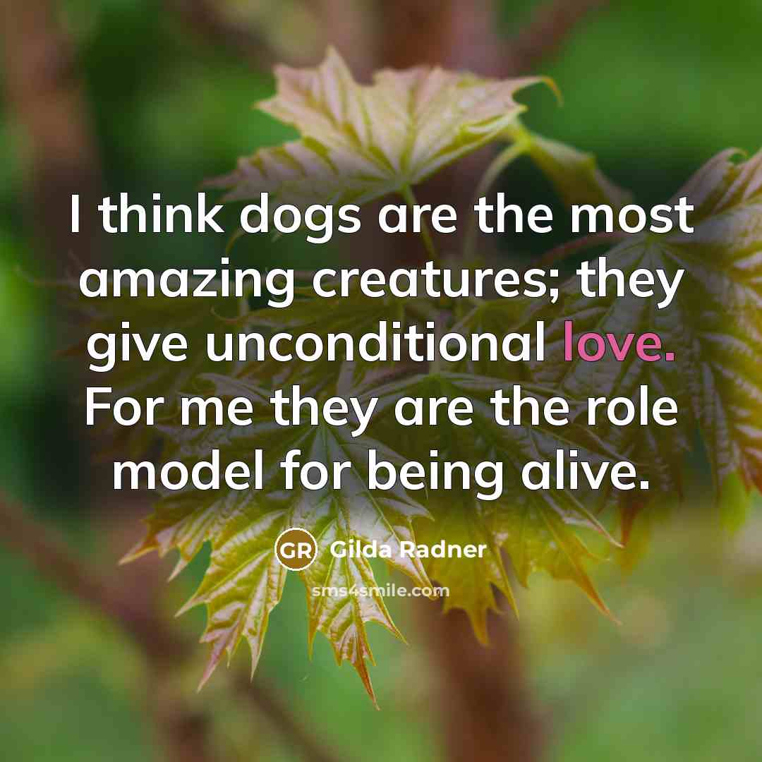 “I think dogs are the most amazing creatures; they give unconditional love. For me they are the role model for being alive.” quote by Gilda Radner