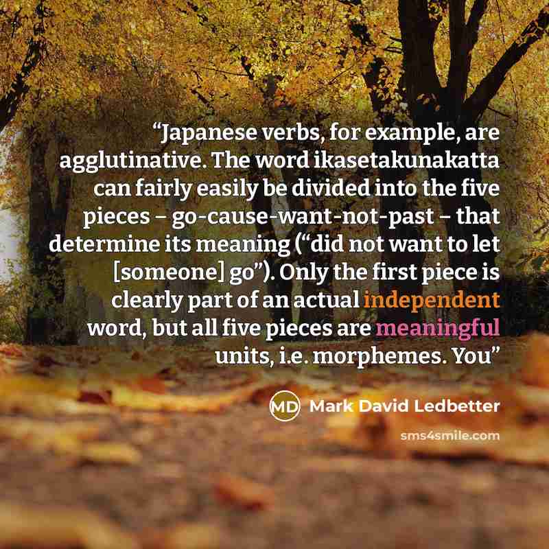 “Japanese verbs, for example, are agglutinative. The word ikasetakunakatta can fairly easily be divided into the five pieces – go-cause-want-not-past – that determine its meaning (“did not want to let [someone] go”). Only the first piece is clearly part of an actual independent word, but all five…” quote by Mark David Ledbetter
