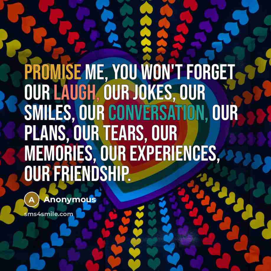 “Promise me, you won't forget our laugh, our jokes, our smiles, our conversation, our plans, our tears, our memories, our experiences, our friendship.” quote by Anonymous