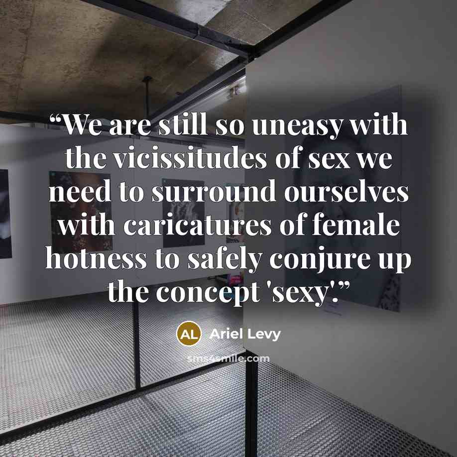 “We are still so uneasy with the vicissitudes of sex we need to surround ourselves with caricatures of female hotness to safely conjure up the concept 'sexy'.” quote by Ariel Levy