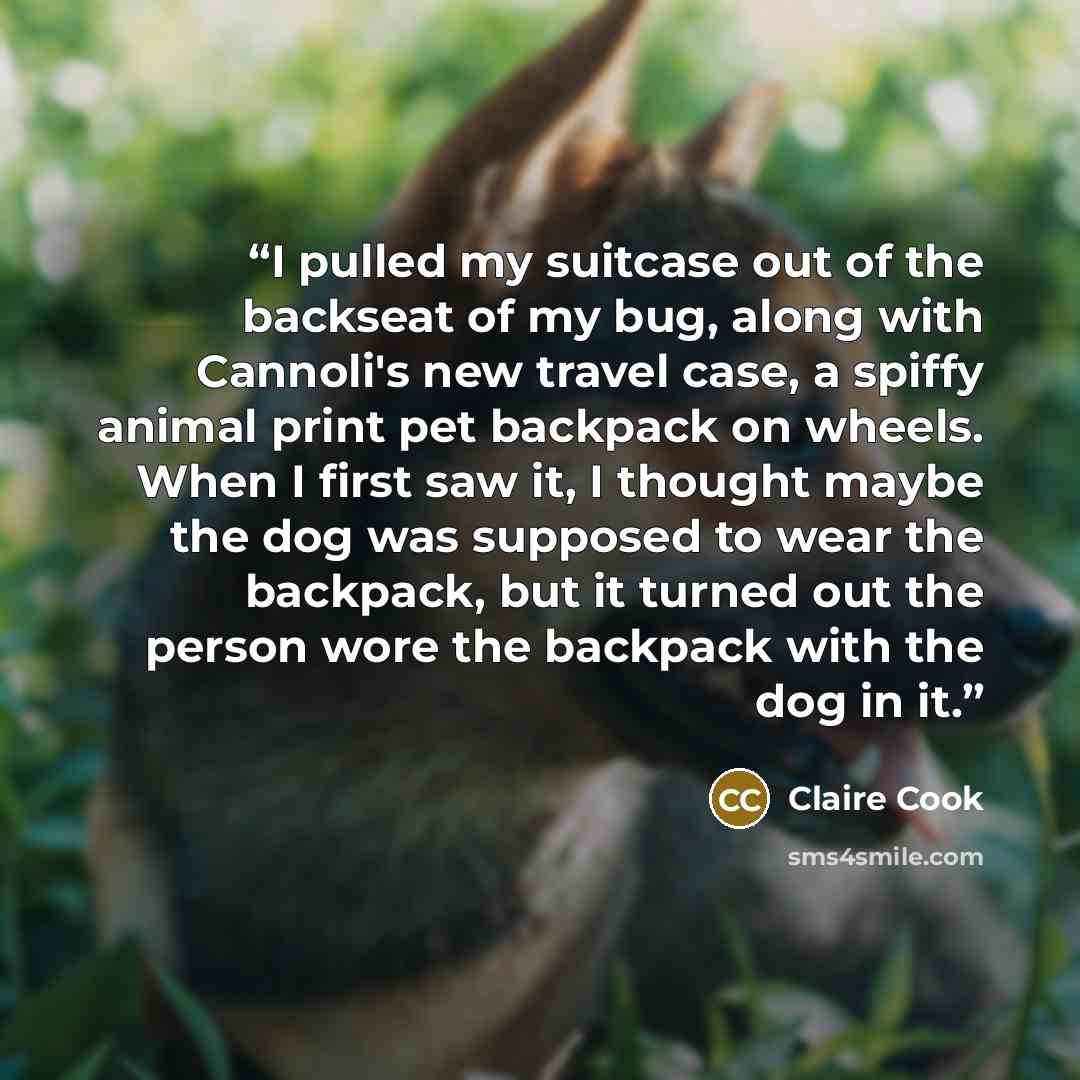 “I pulled my suitcase out of the backseat of my bug, along with Cannoli's new travel case, a spiffy animal print pet backpack on wheels. When I first saw it, I thought maybe the dog was supposed to wear the backpack, but it turned out the person wore the backpack with the dog in it.” quote by Claire Cook