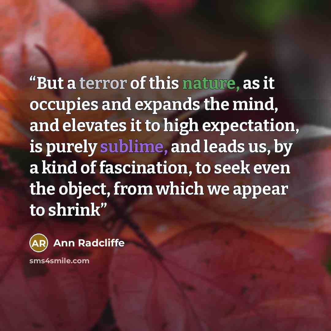 “But a terror of this nature, as it occupies and expands the mind, and elevates it to high expectation, is purely sublime, and leads us, by a kind of fascination, to seek even the object, from which we appear to shrink” quote by Ann Radcliffe