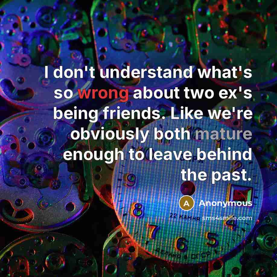 “I don't understand what's so wrong about two ex's being friends. Like we're obviously both mature enough to leave behind the past.” quote by Anonymous